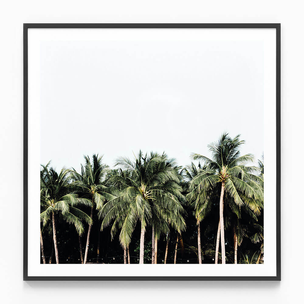 Island Vibes