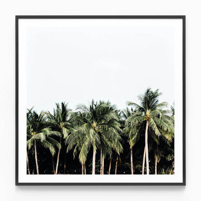 Island Vibes