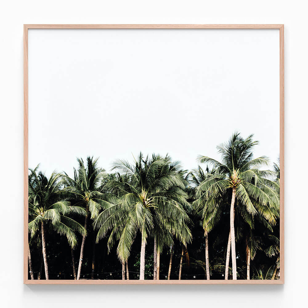 Island Vibes