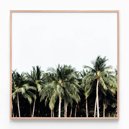 Island Vibes