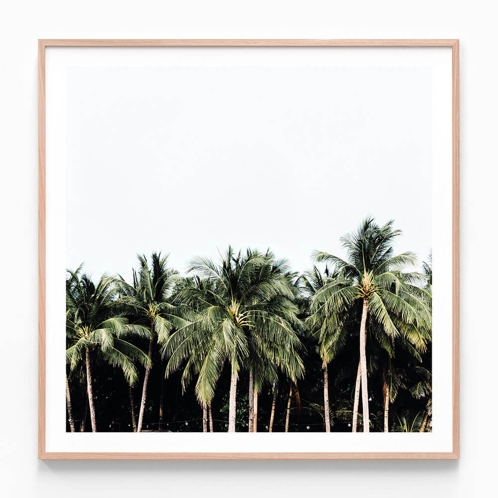 Island Vibes