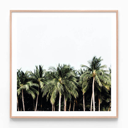 Island Vibes
