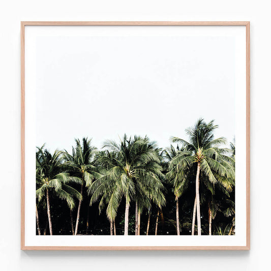 Island Vibes