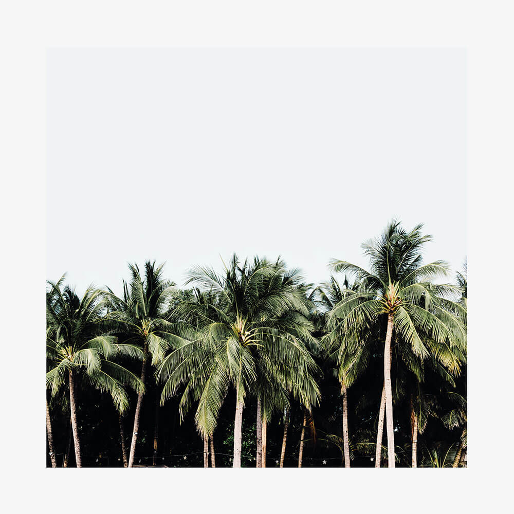 Island Vibes