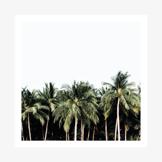 Island Vibes