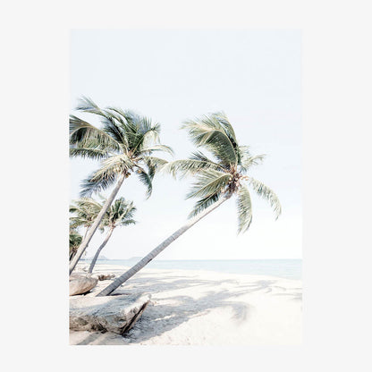 Island Waters