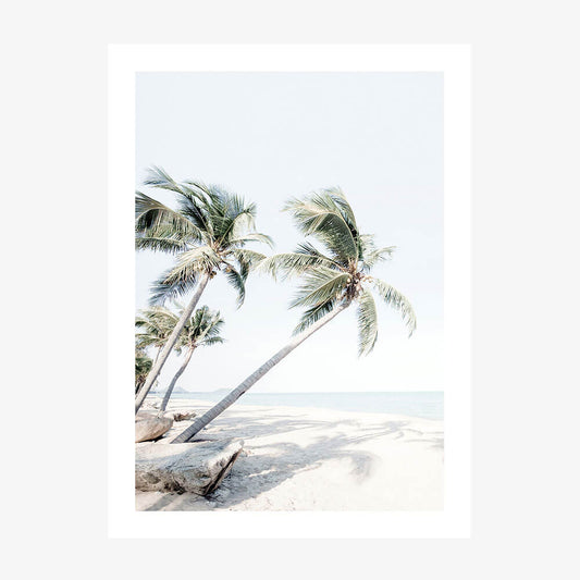 Island Waters