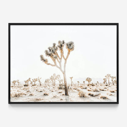 Joshua Tree No. 4