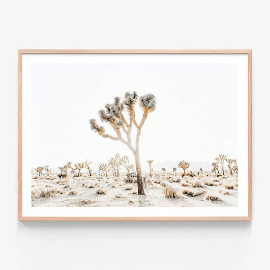 A framed photographic print featuring a Joshua tree with cacti in the background, set in a desert landscape.