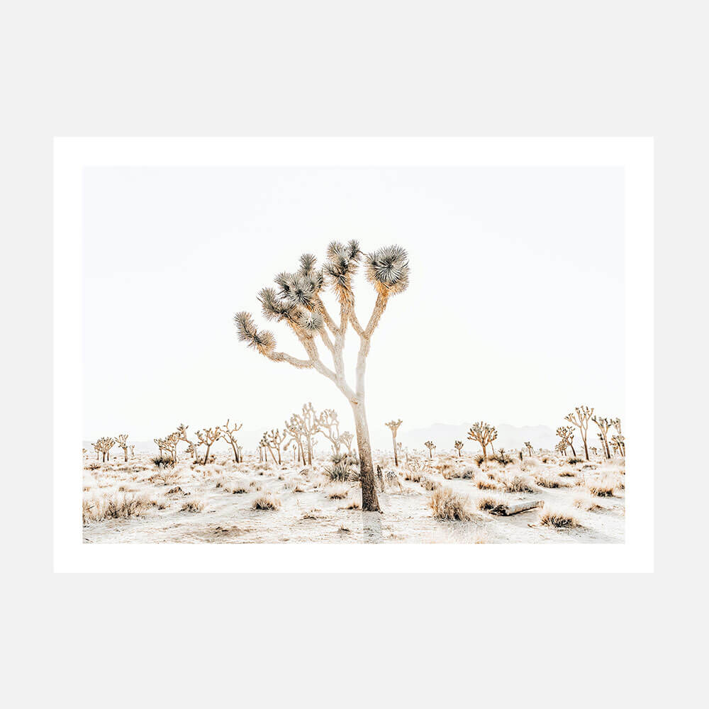 A photographic poster print featuring a Joshua tree with cacti in the background, set in a desert landscape.