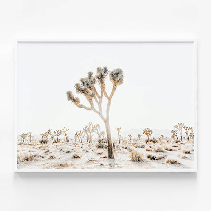Joshua Tree No. 4