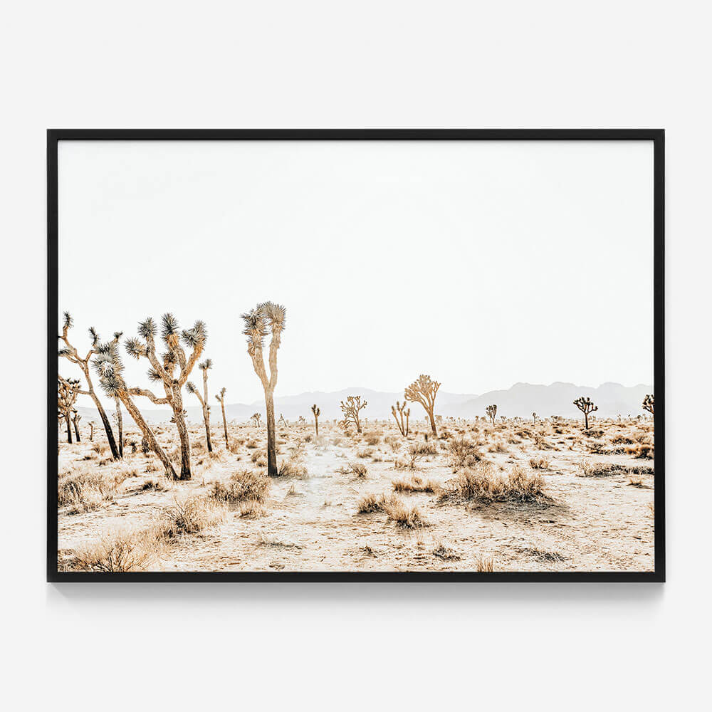 Joshua Tree No. 5