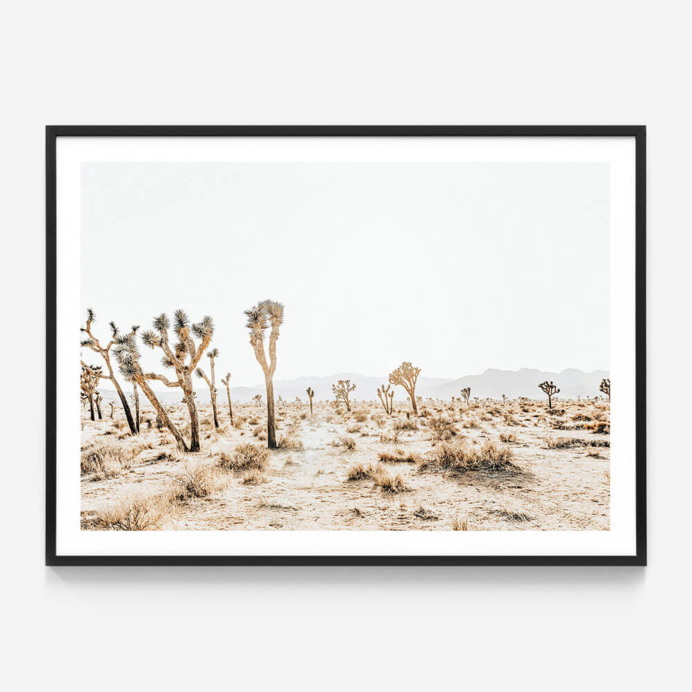 Joshua Tree No. 5