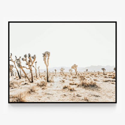 Joshua Tree No. 5 Canvas
