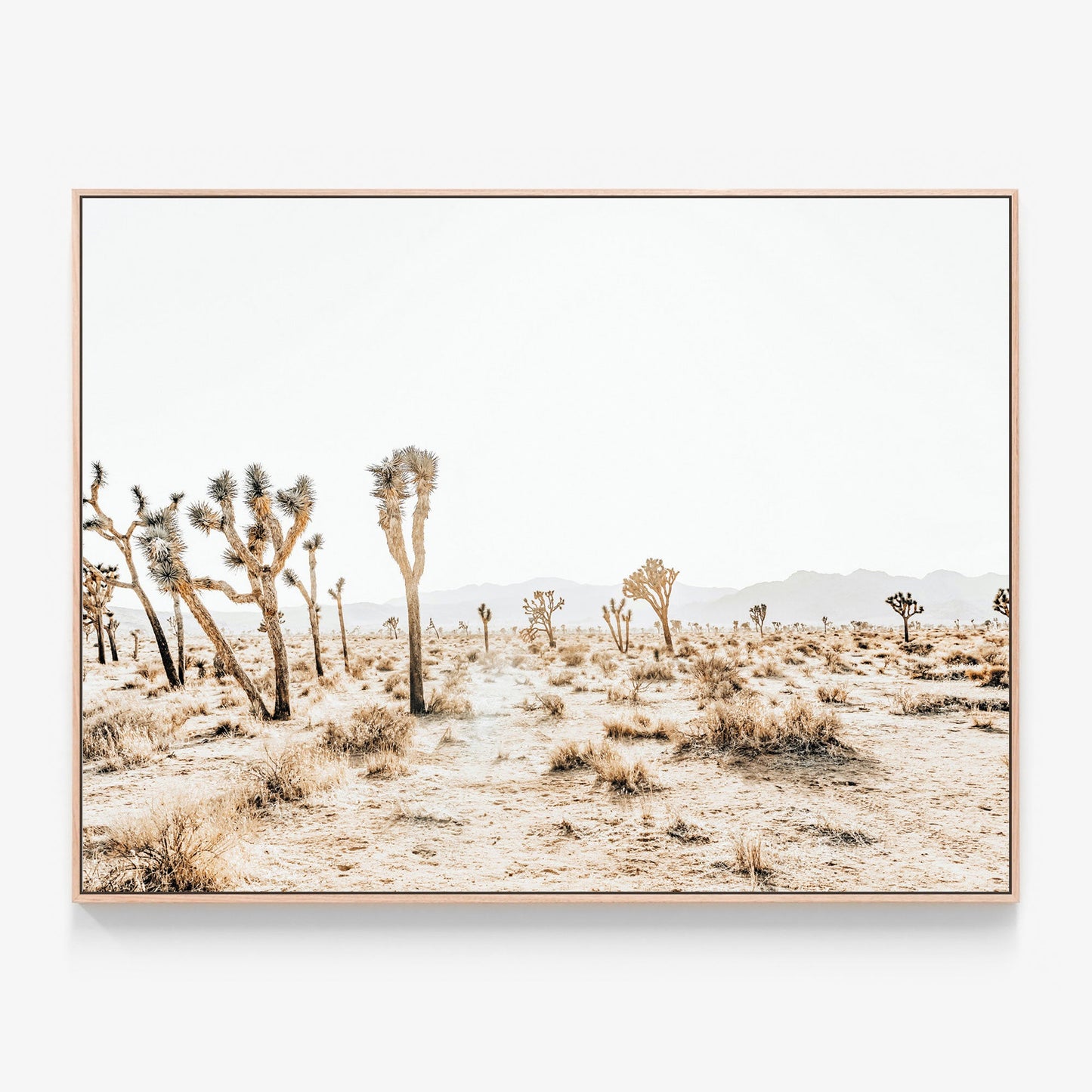Joshua Tree No. 5 Canvas wall art with oak float frame