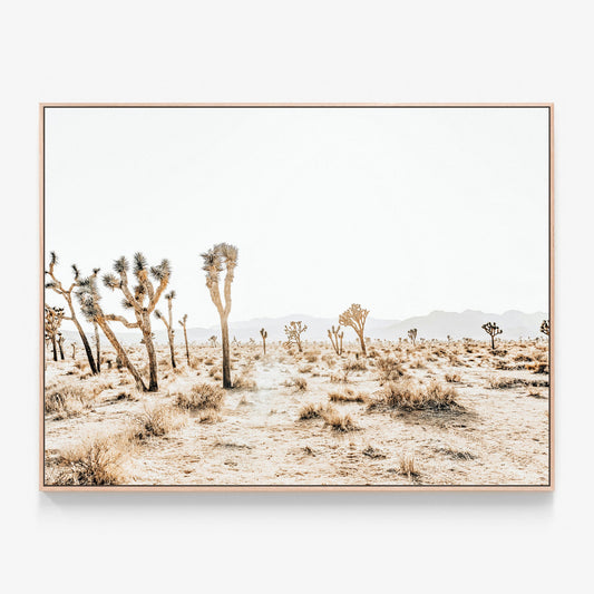 Joshua Tree No. 5 Canvas wall art with oak float frame