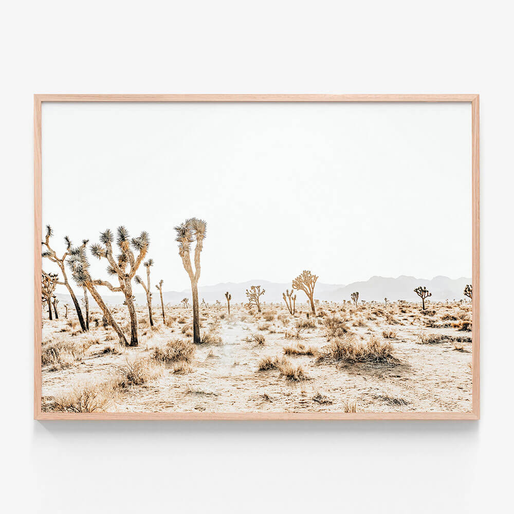 Joshua Tree No. 5