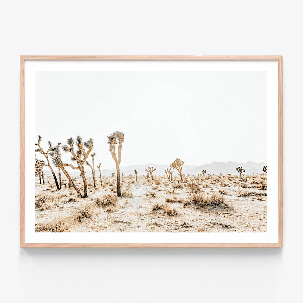 Joshua Tree No. 5