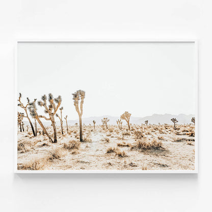 Joshua Tree No. 5