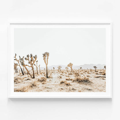 Joshua Tree No. 5