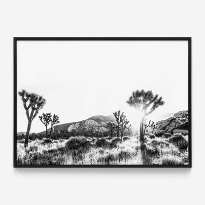 Joshua Tree B&W