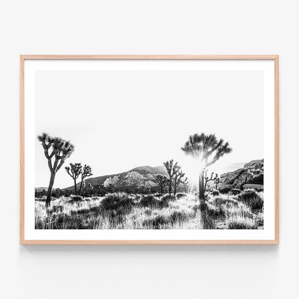Joshua Tree B&W