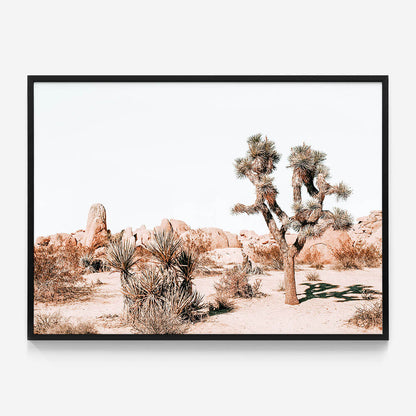 Joshua Tree