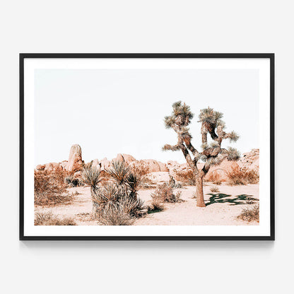 Joshua Tree