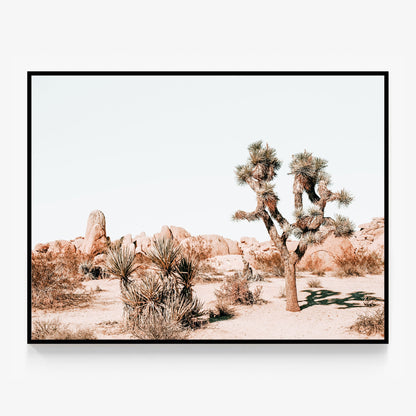 Joshua Tree Canvas
