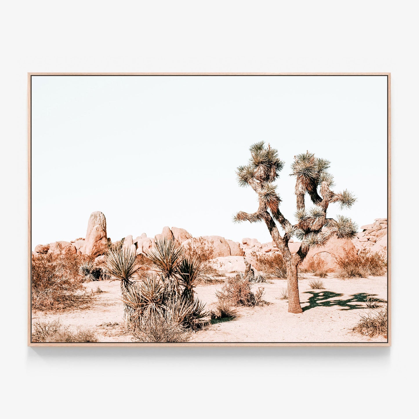 Joshua Tree Canvas wall art with oak float frame