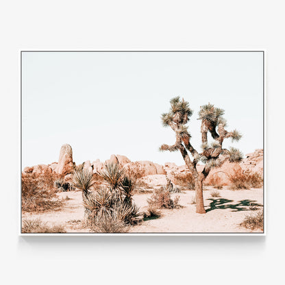 Joshua Tree Canvas