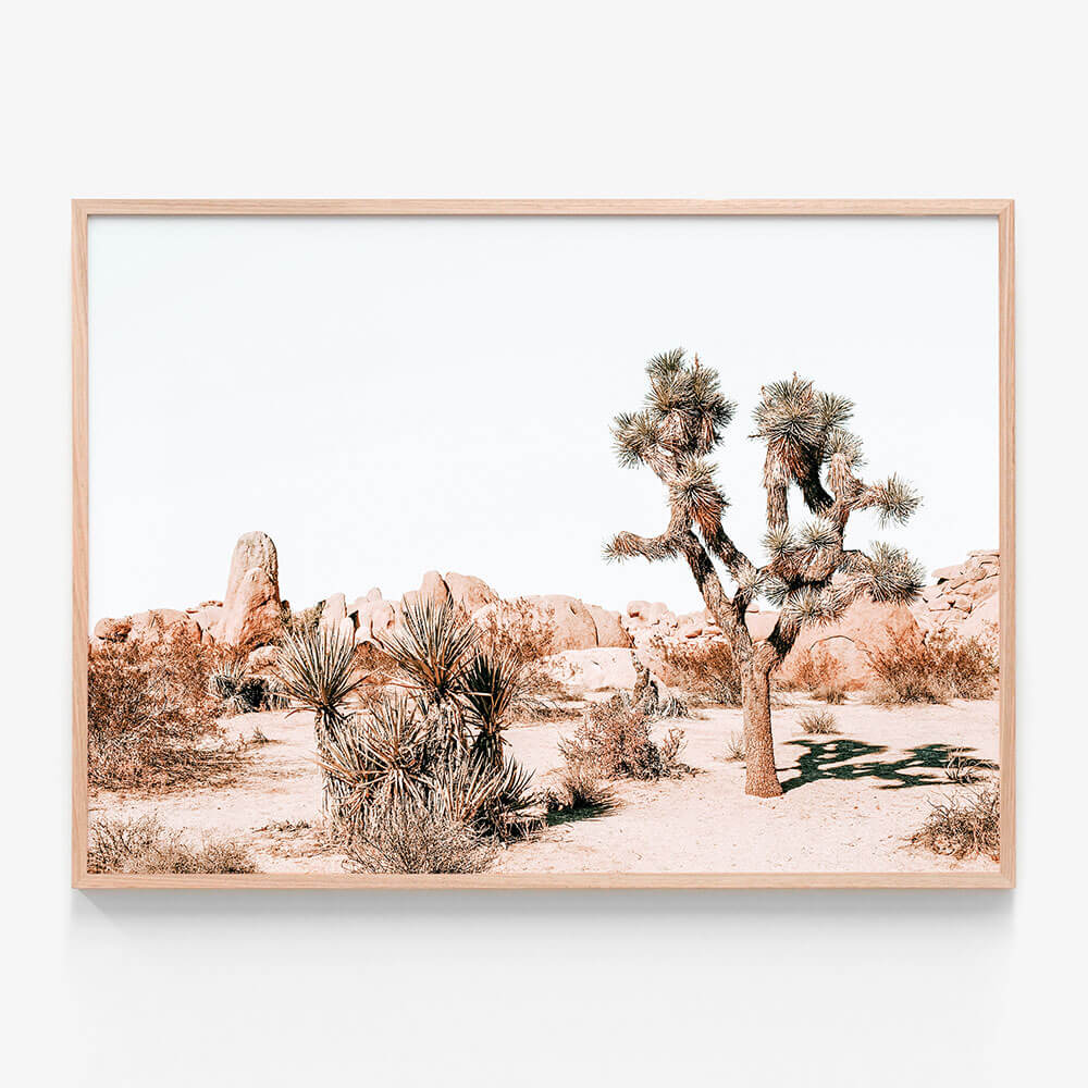 Joshua Tree