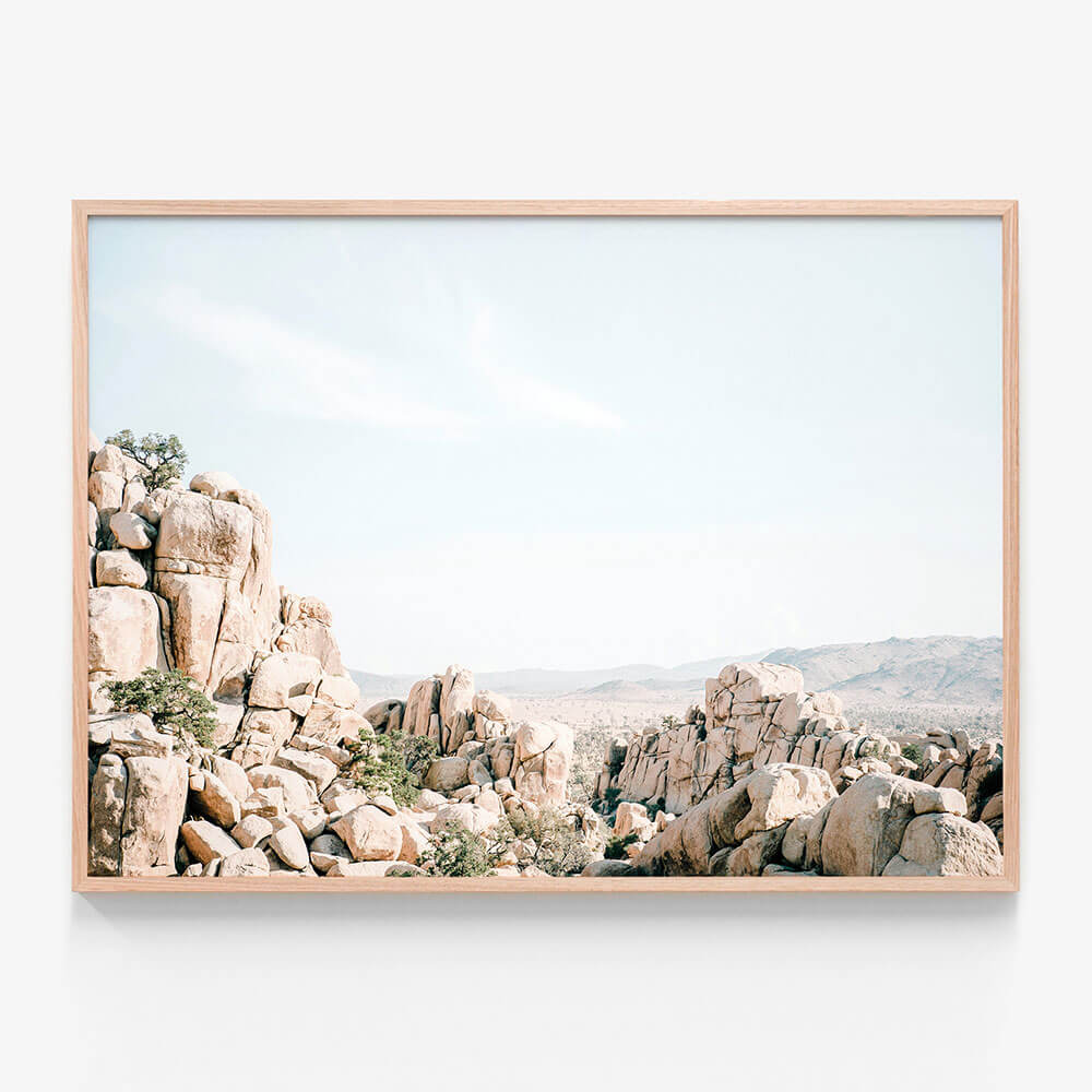 Joshua Tree Rocks