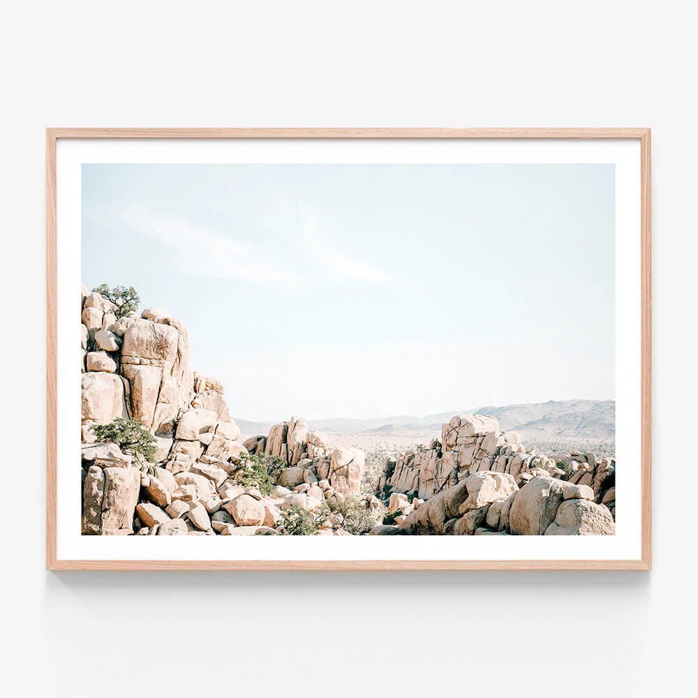 Joshua Tree Rocks