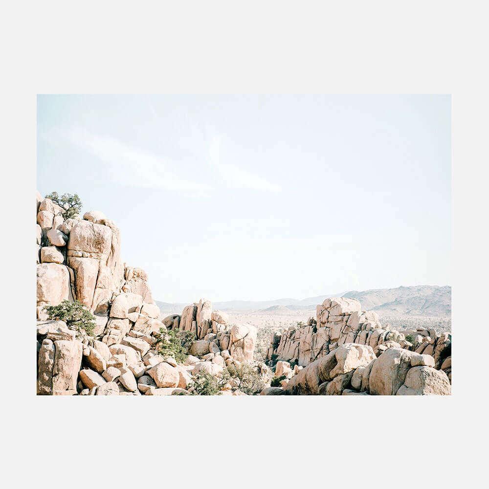 Joshua Tree Rocks