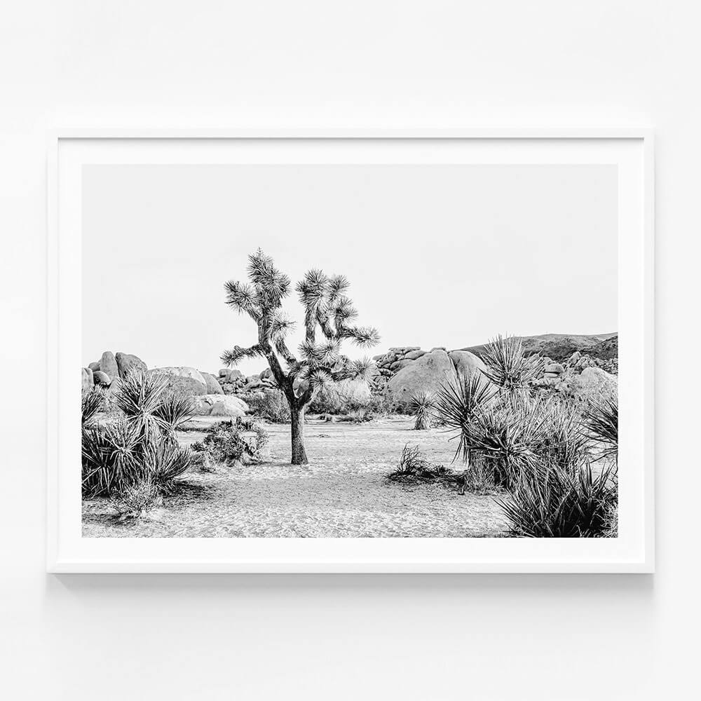 Joshua Tree Sunrise B&W