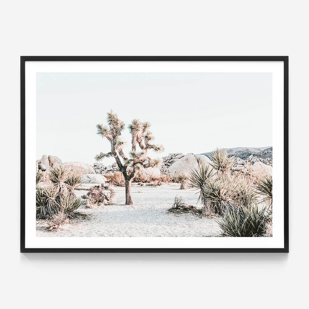 Joshua Tree Sunrise