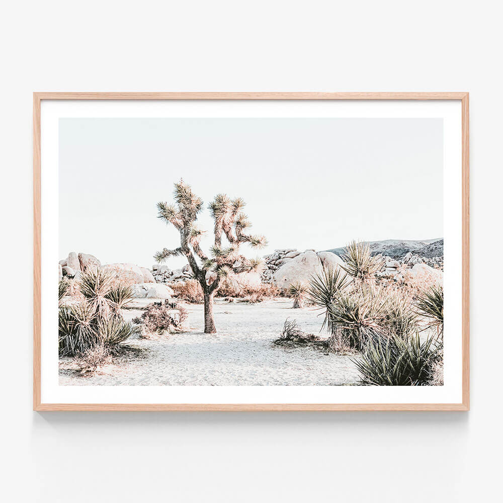 Joshua Tree Sunrise