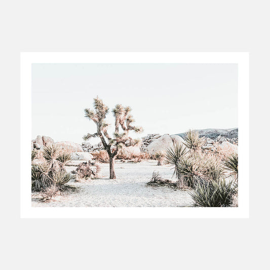 Joshua Tree Sunrise