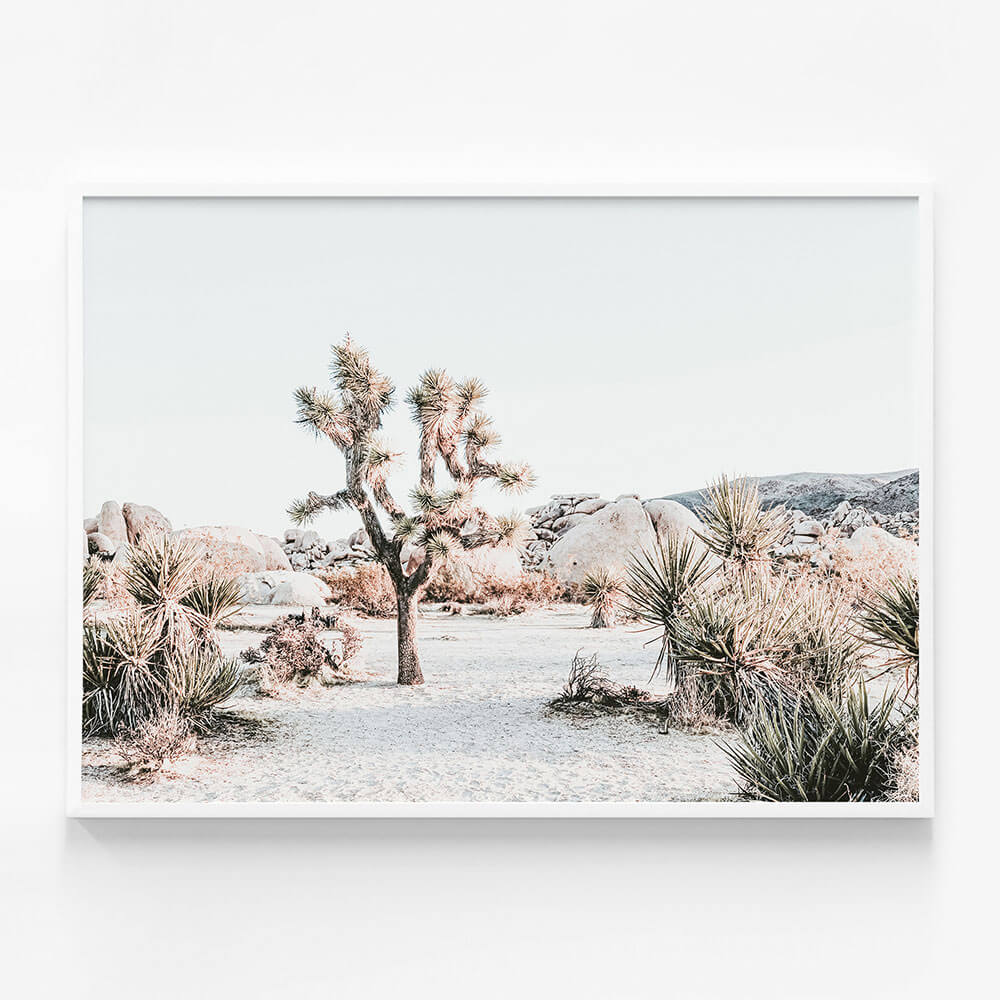 Joshua Tree Sunrise