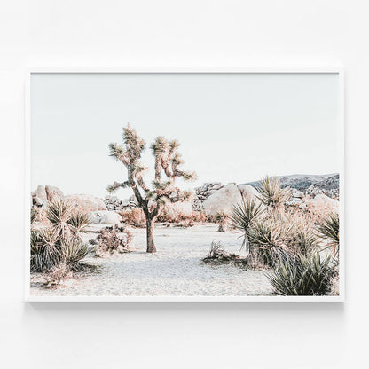 Joshua Tree Sunrise