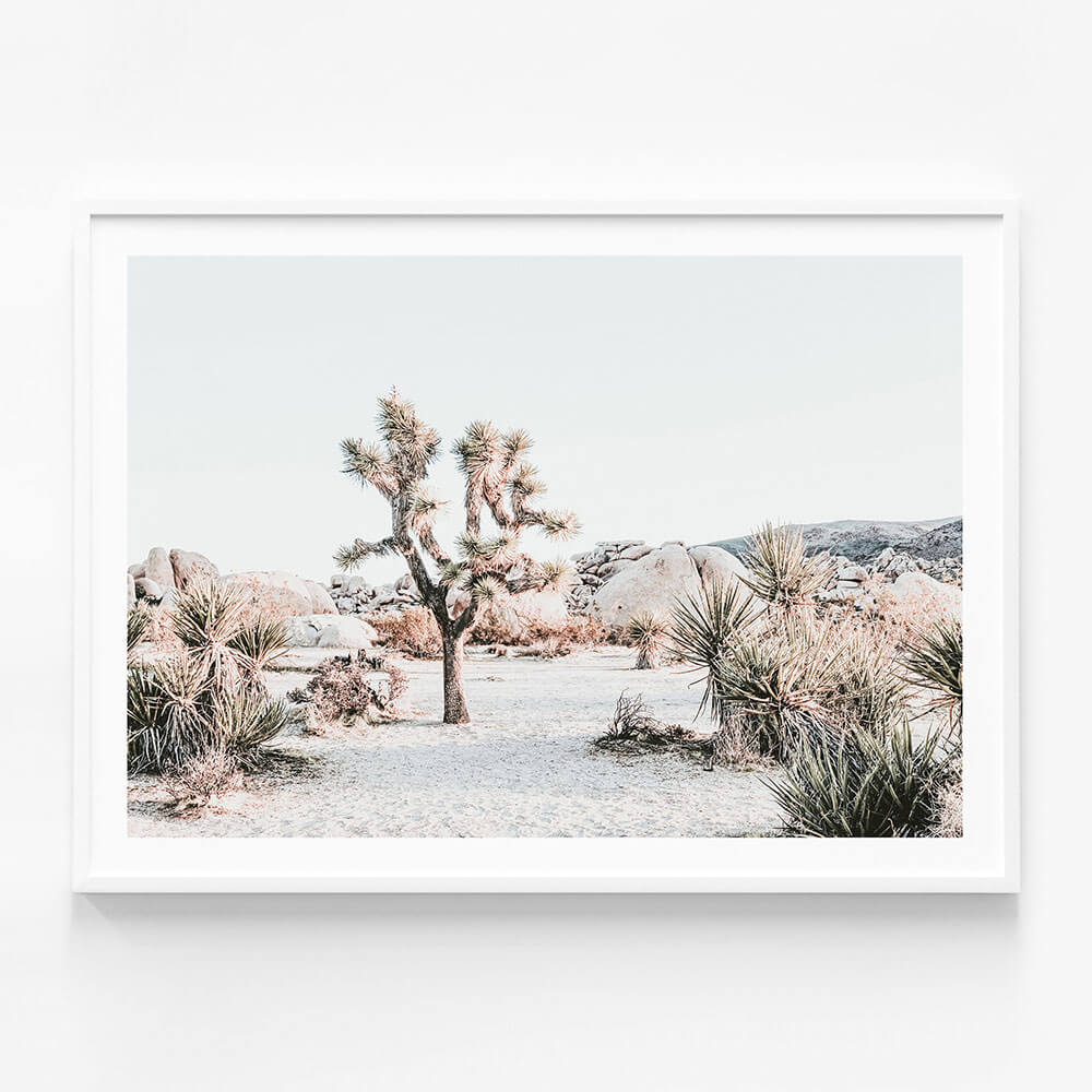 Joshua Tree Sunrise