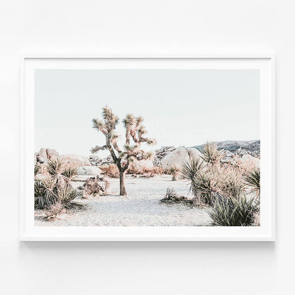 Joshua Tree Sunrise