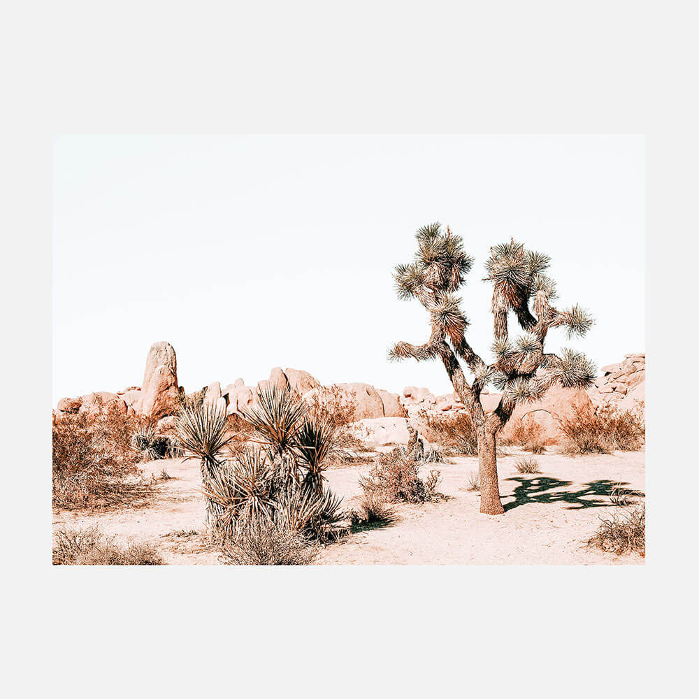 Joshua Tree