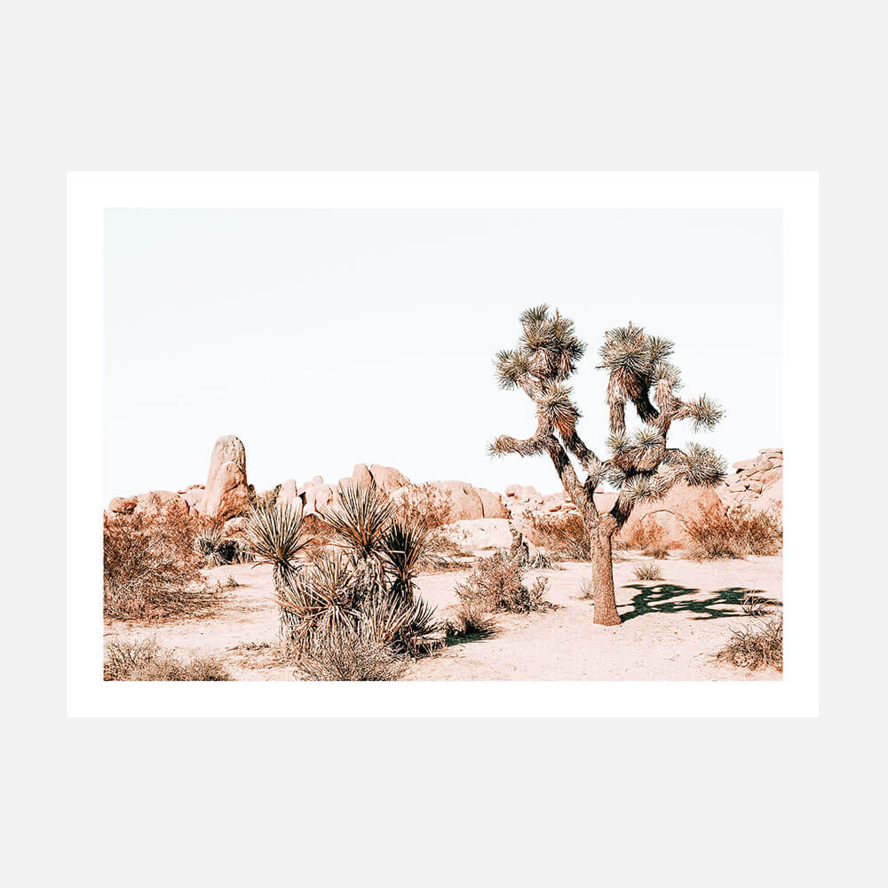 Joshua Tree
