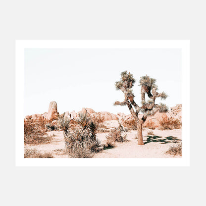 Joshua Tree