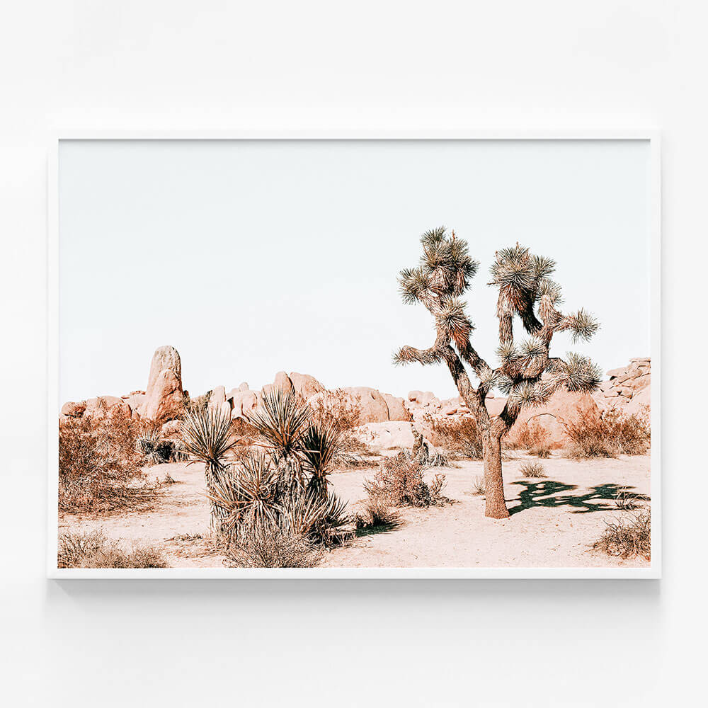 Joshua Tree