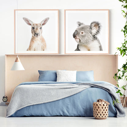 Kids framed prints of a kangaroo and a koala in a nursery room.