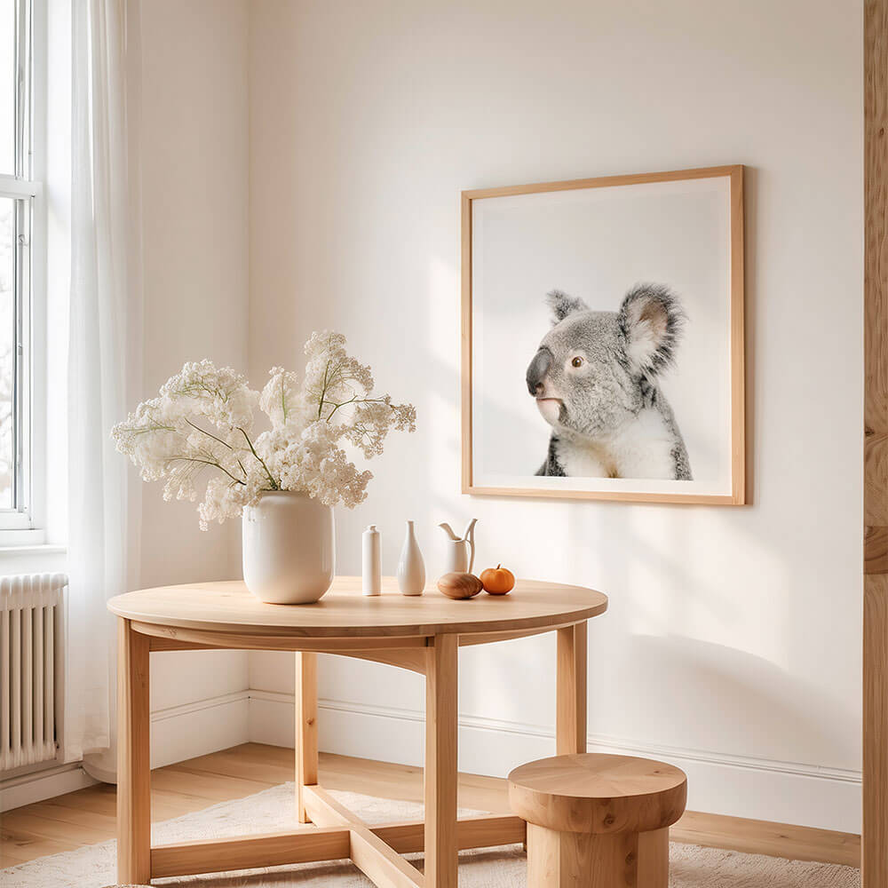 Koala-Framed-Print-in-a-Contemporary-Living-Room.jpg
