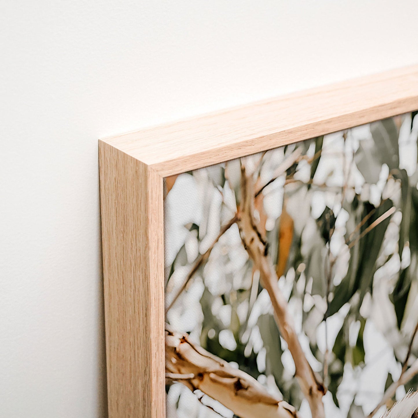 Kookaburra Canvas corner detail